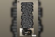 Shashank Singh blasts Indigo Airlines over luggage mishandling (Image via Instagram-@shashanksingh027)